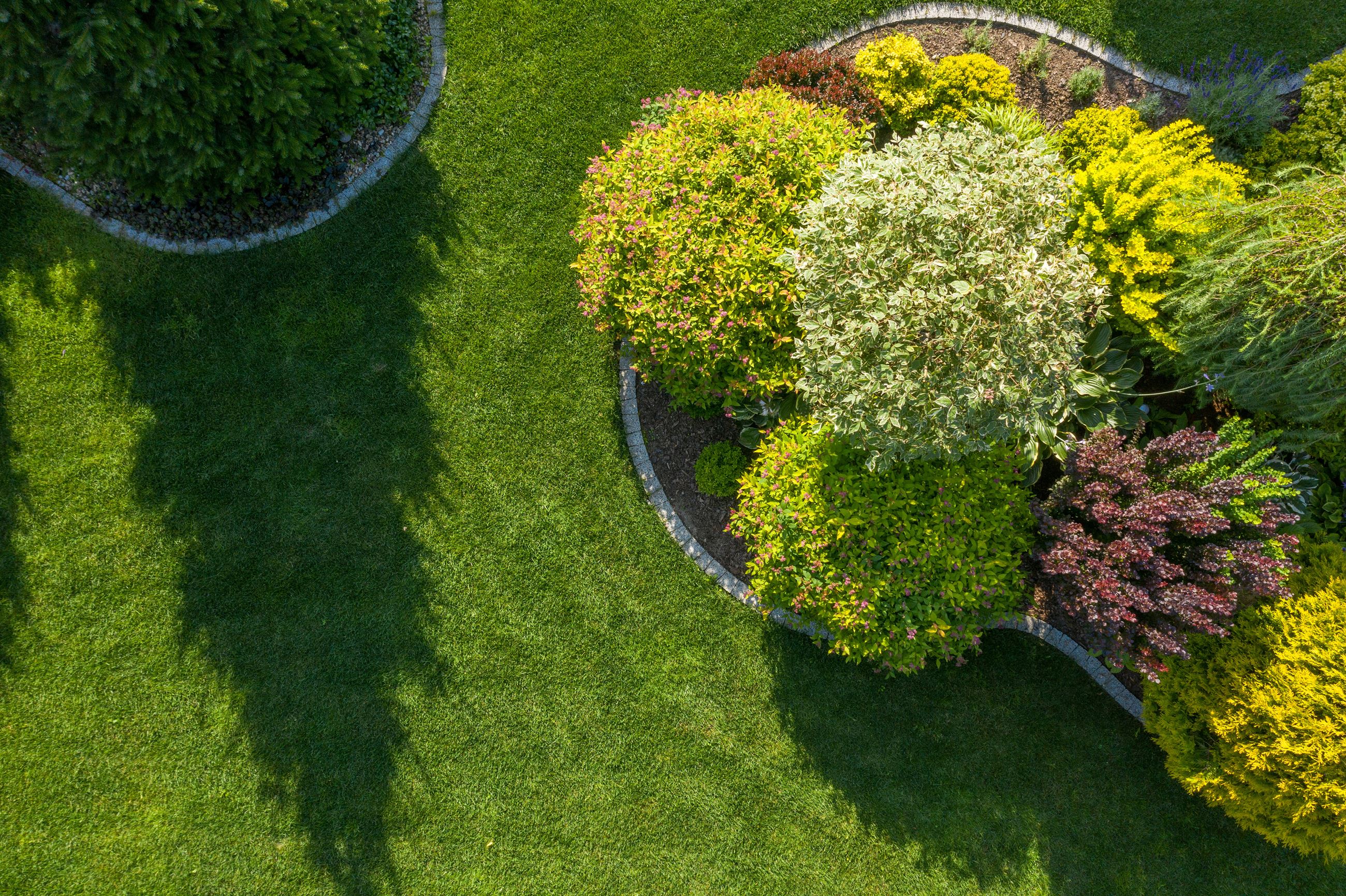 Aerial view of landscaped residential backyard 