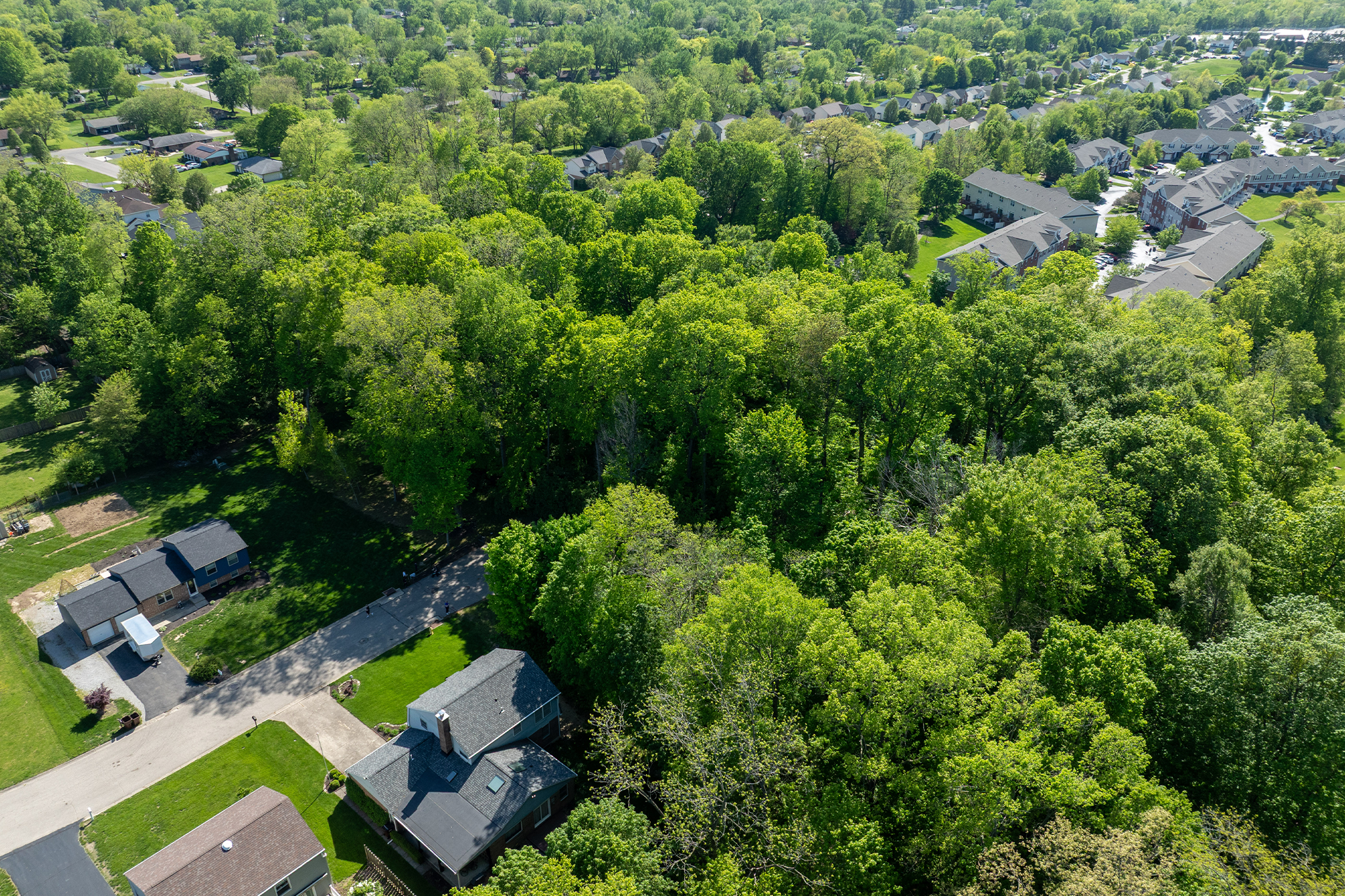 Cinnamon Ridge Park covered with trees with a road leading to the park and some houses around